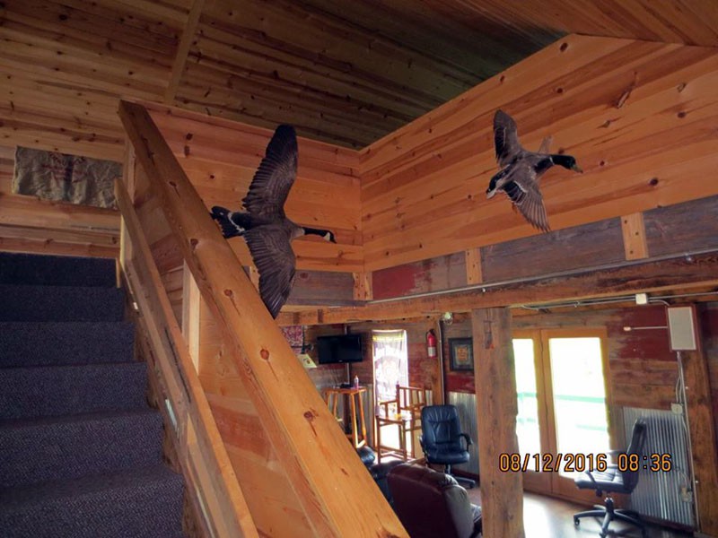 The Upper Mill Lodging for 8