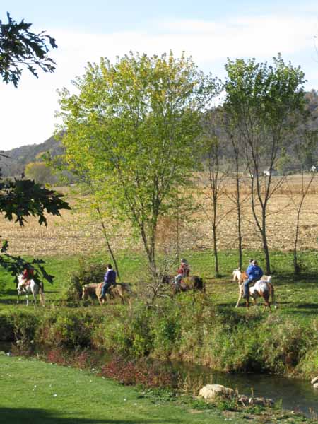 Horse Back riding resort at Winnebago Valley Hideaway