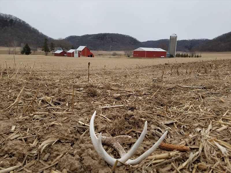Sheds in Winnebago Valley Hideaway field